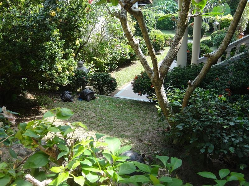 Holiday Village And Natural Garden Resort Phuket Eksteriør bilde